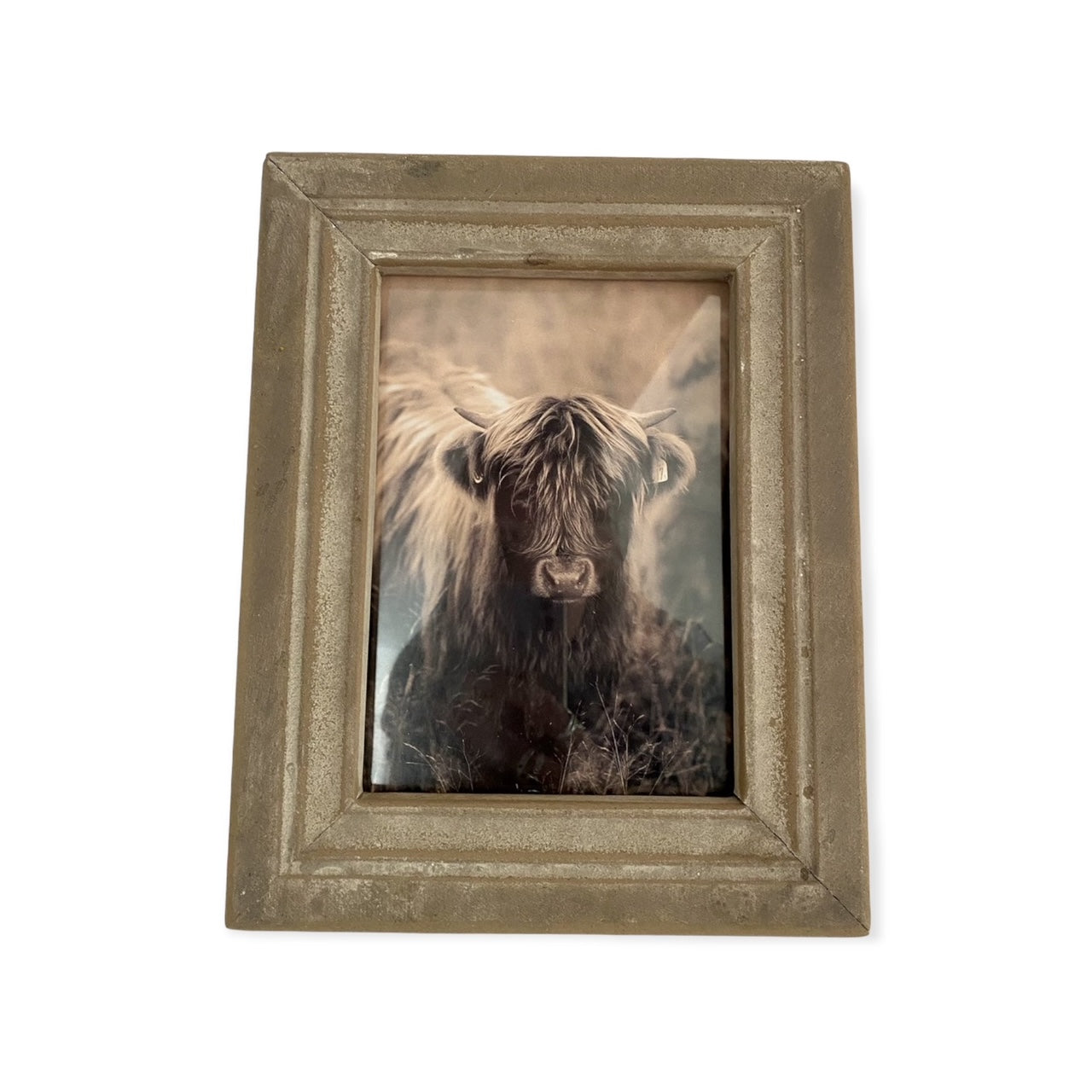 Fotolijst Taupe met Hooglander Achtergrond