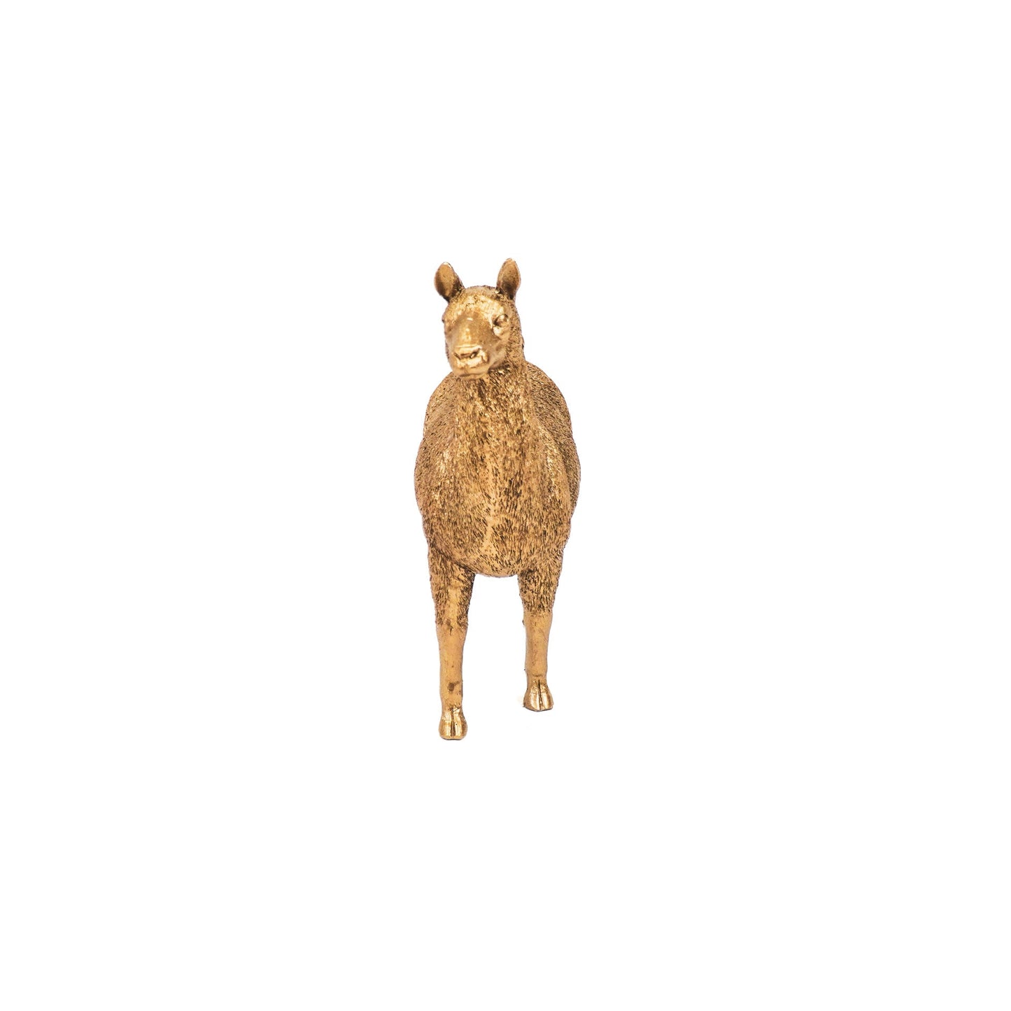 Gouden Lama Beeld – Stijlvol en Speels