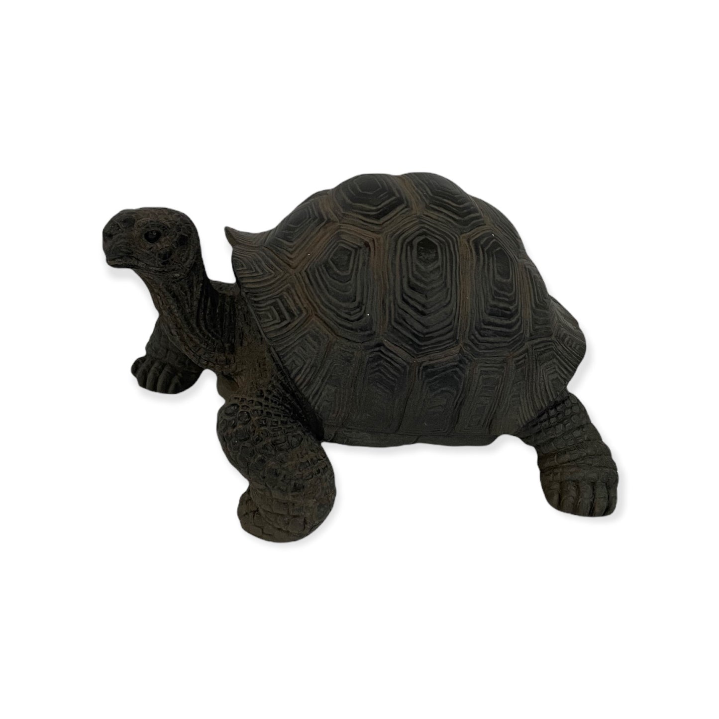 realistisch dierenbeeld van een zwart schildpad
