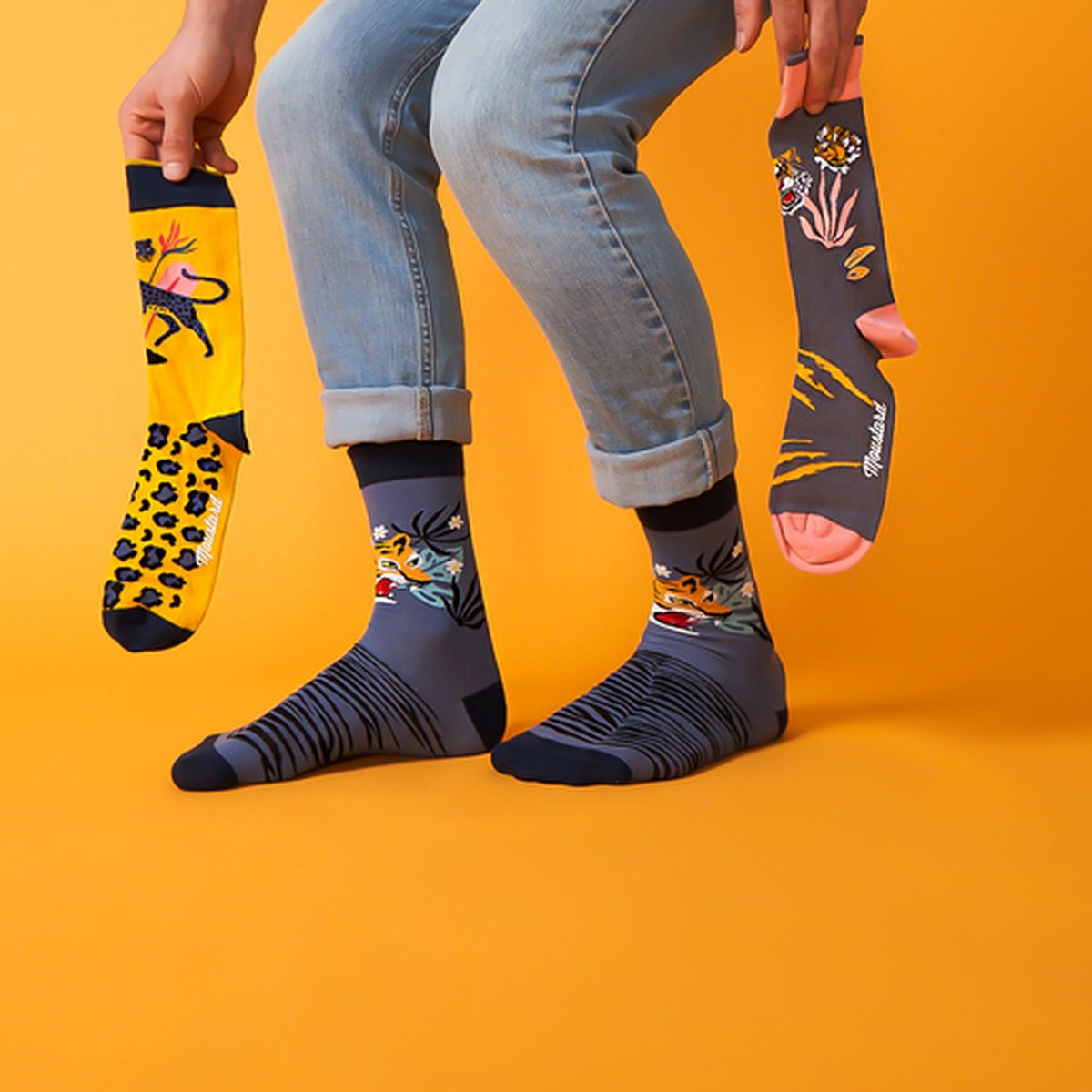 World of Cats Socks – 4 Pairs in Gift Box