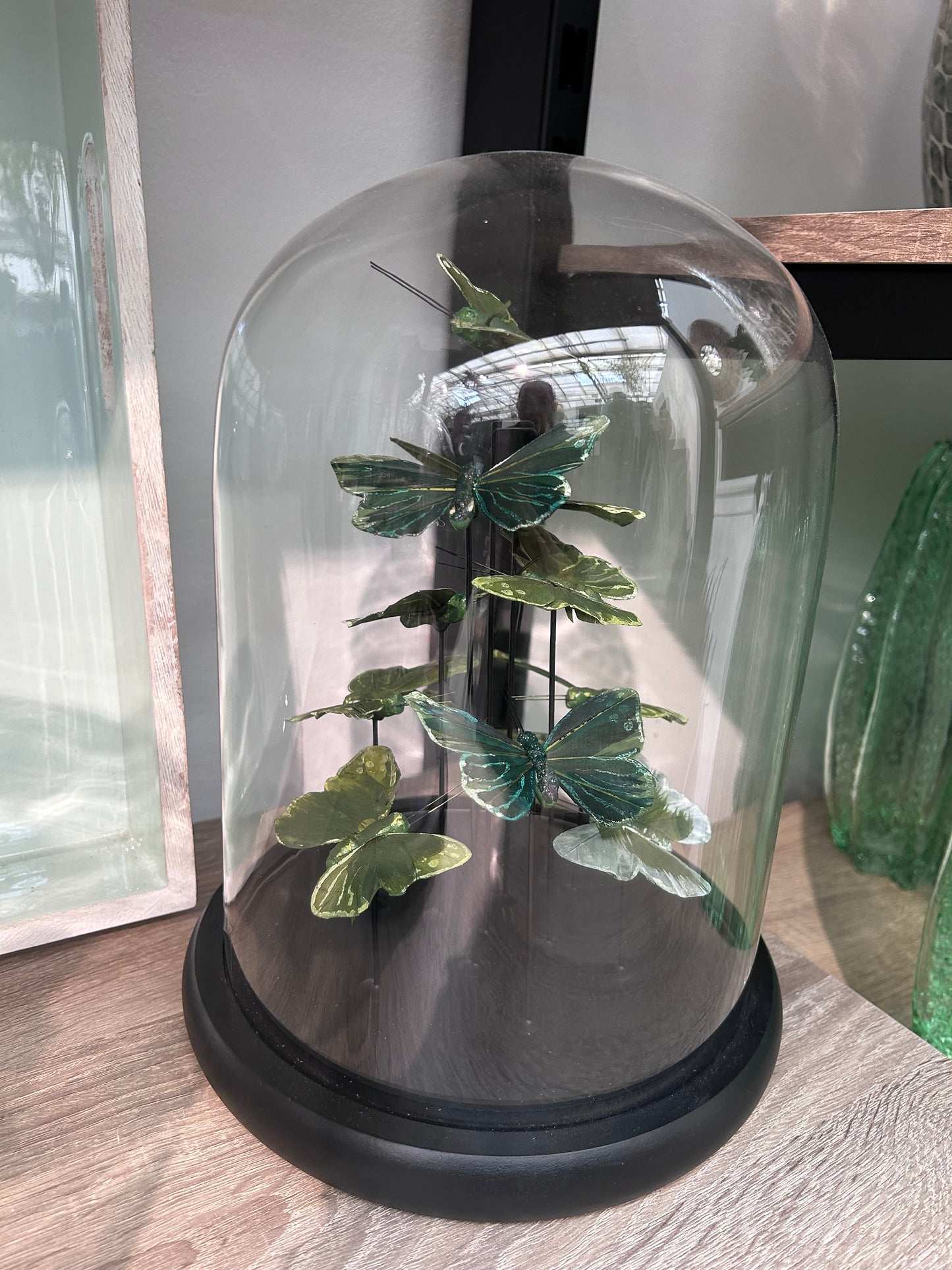 Glazen Stolp met Groene Vlinders