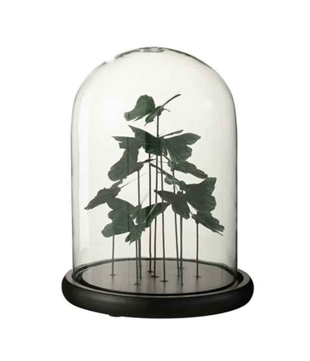 prachtige glazen stolp met groene vlinders