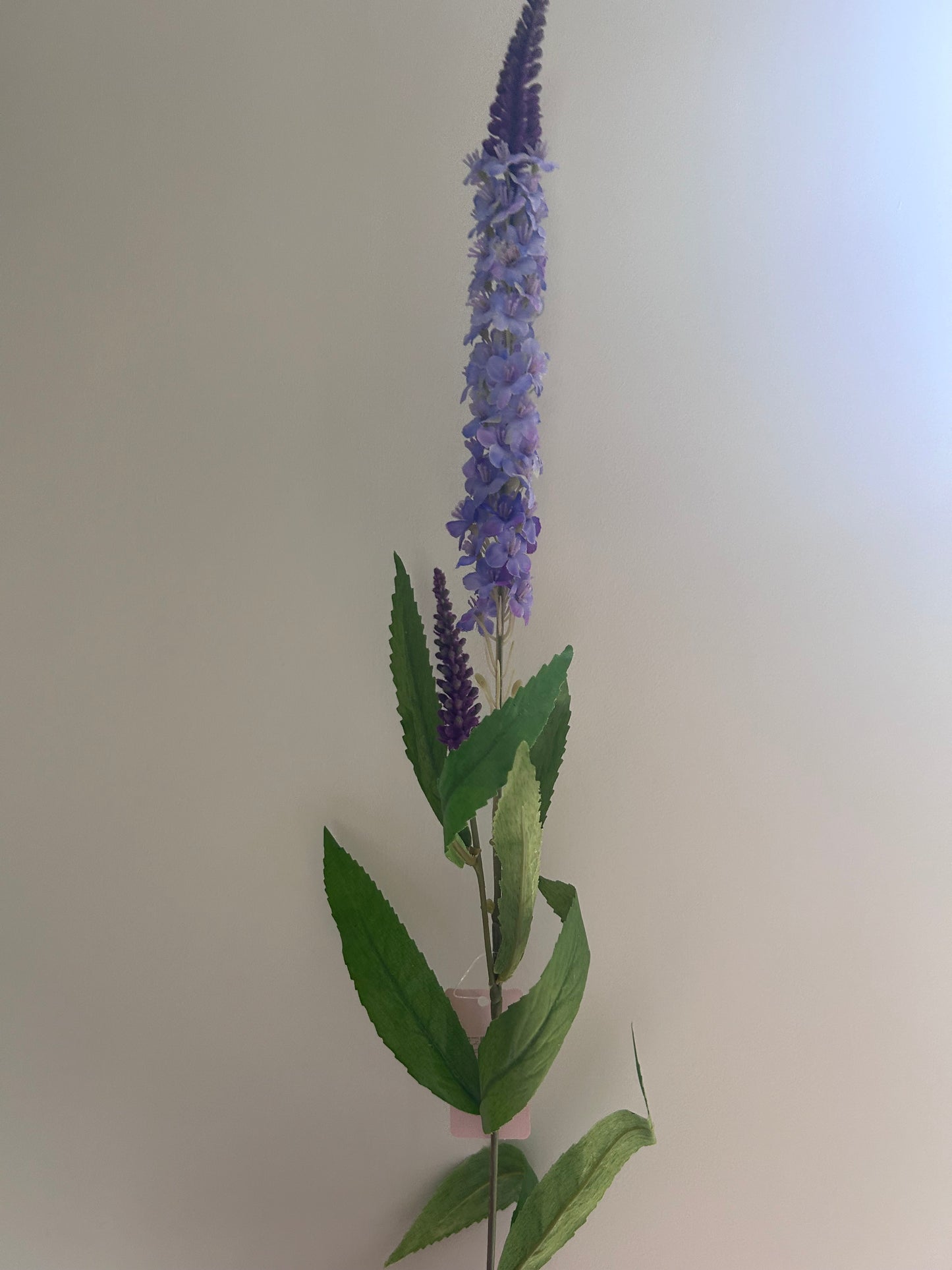 Zijdenbloem paarse Veronica 75 cm – Krokomingo