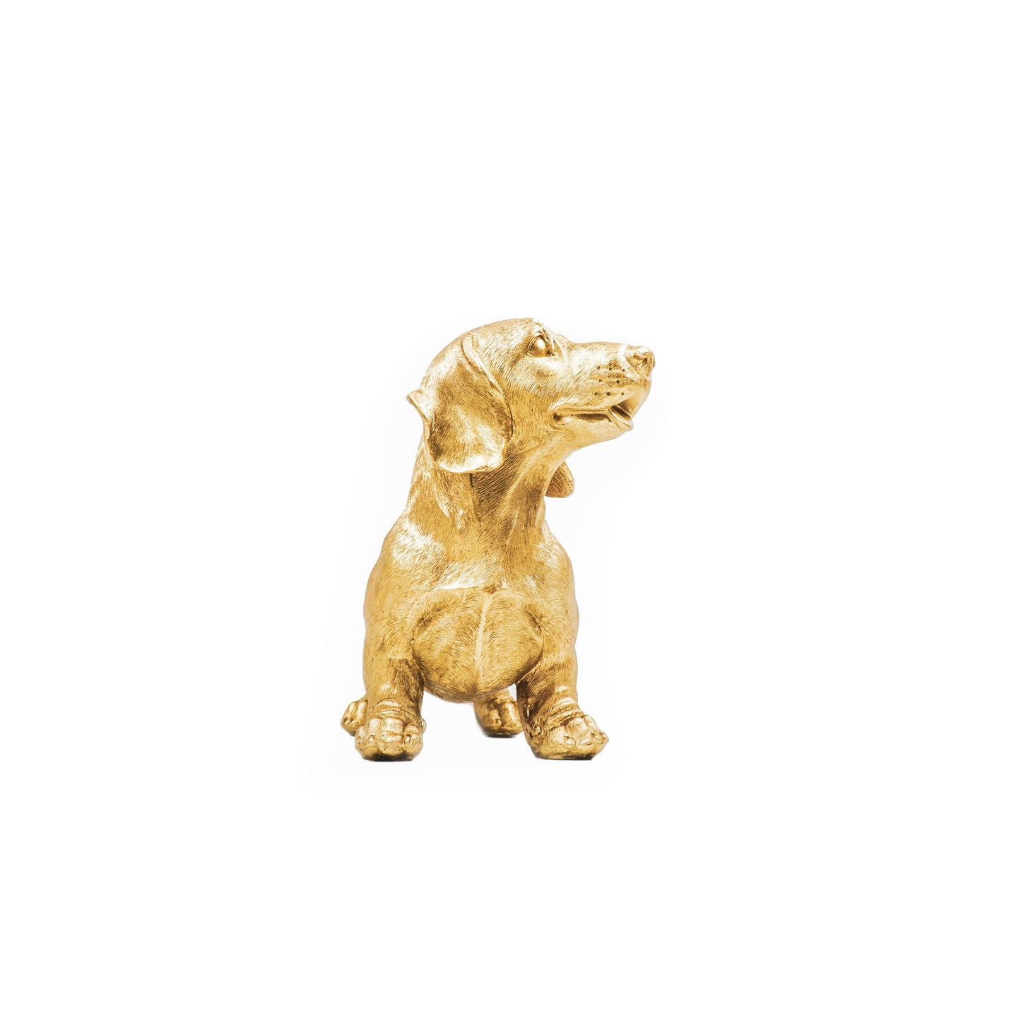 Golden Dachshund Statue – 31 × 14 × 23 cm – Playful & Luxurious