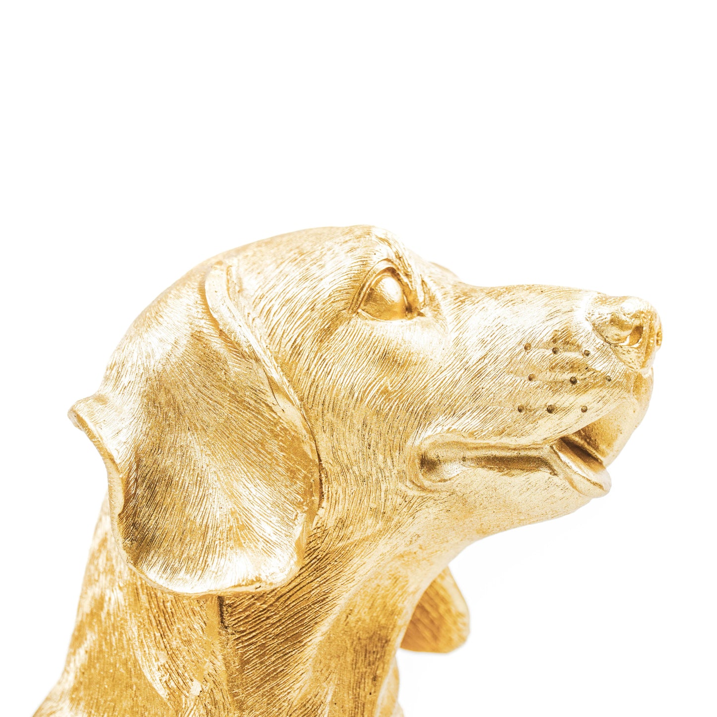Golden Dachshund Statue – 31 × 14 × 23 cm – Playful & Luxurious
