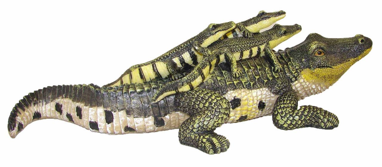 beeld van een krokodillenfamilie