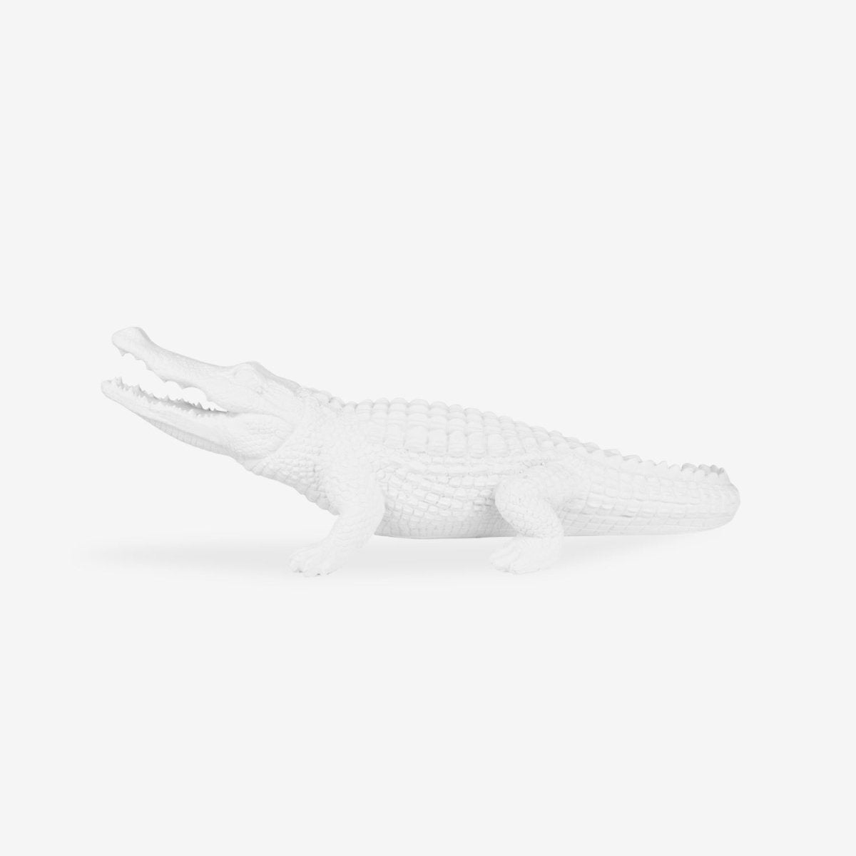 Witte Krokodil Beeld