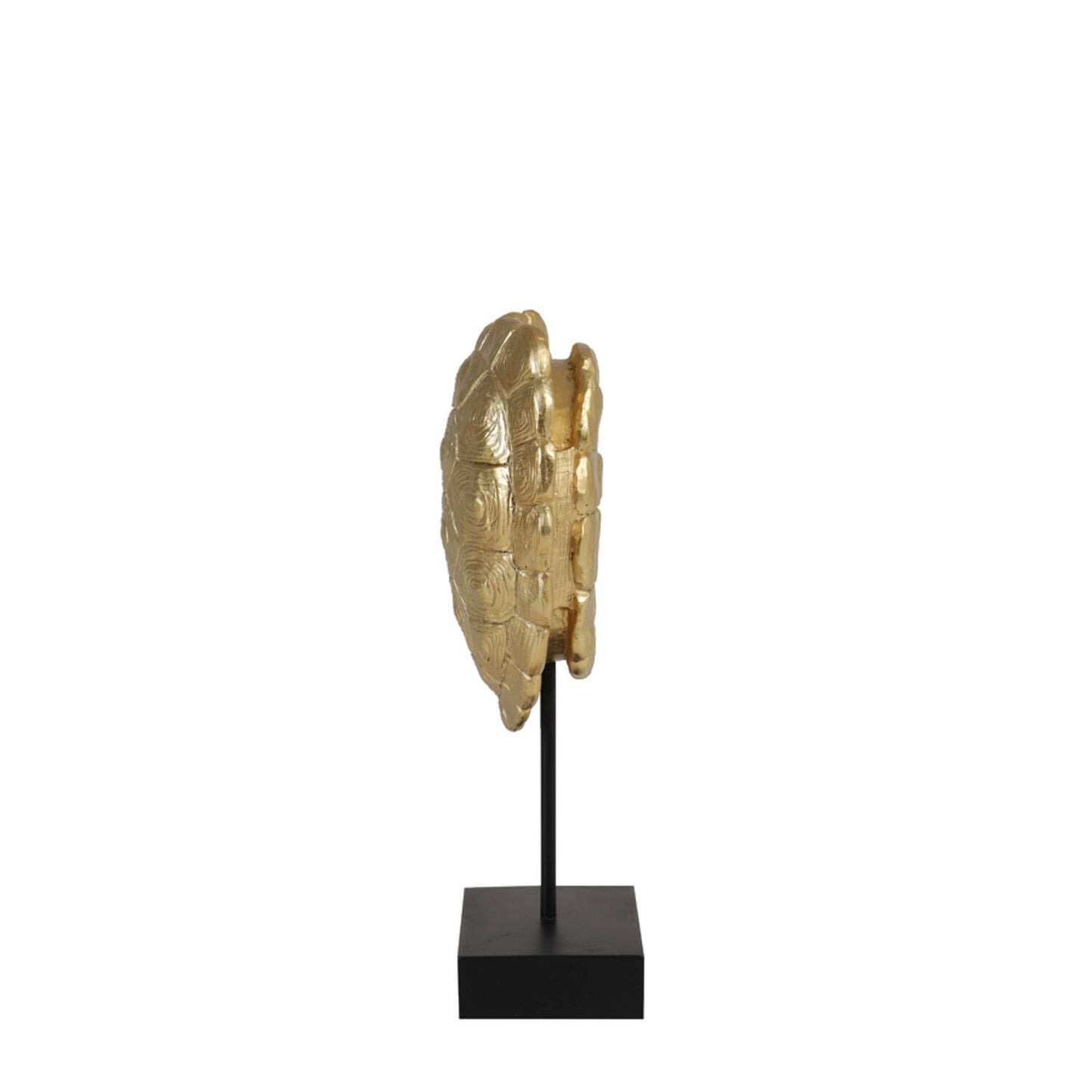 Beeld Schildpad Goud – Turtle Ornament op Standaard