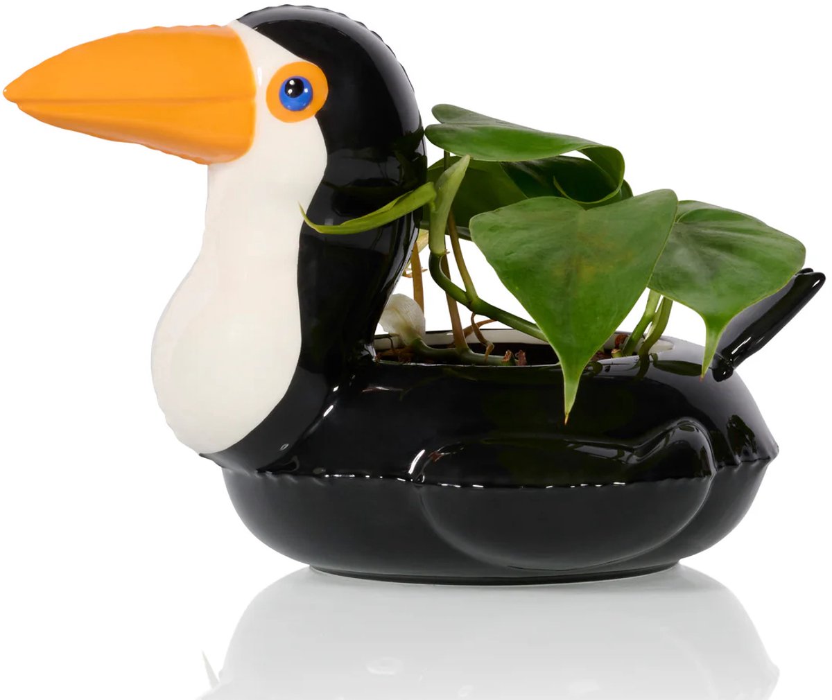 Toucan Pot – Ceramic – 18×24.5×16 cm