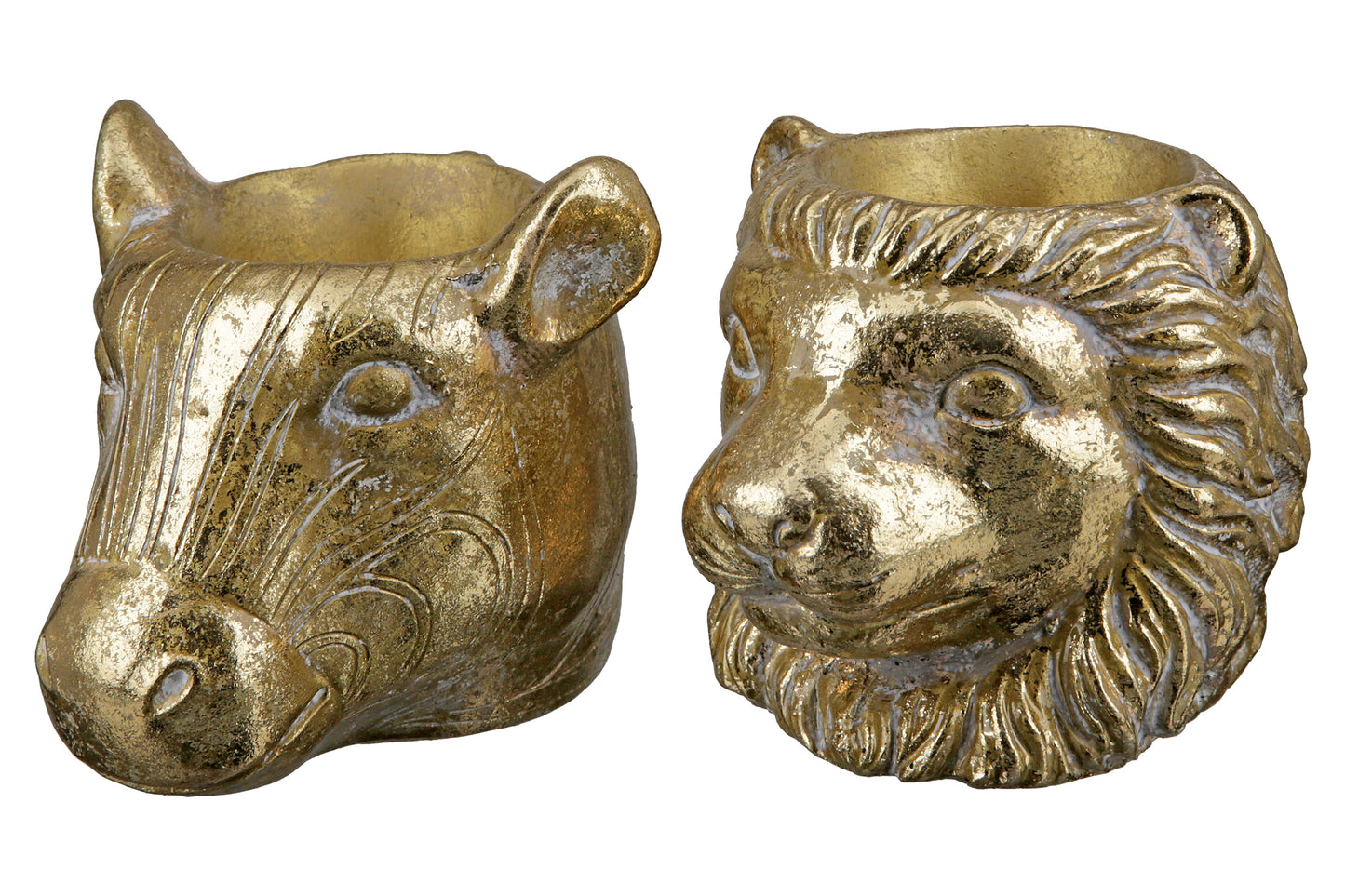 Blumentopf Lion Safari – Antik Gold Zement