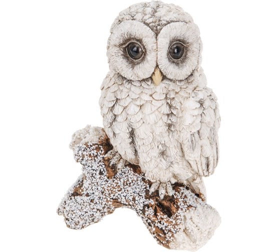 Uilenbeeld op Tak – Winterdecor & Realistisch Design