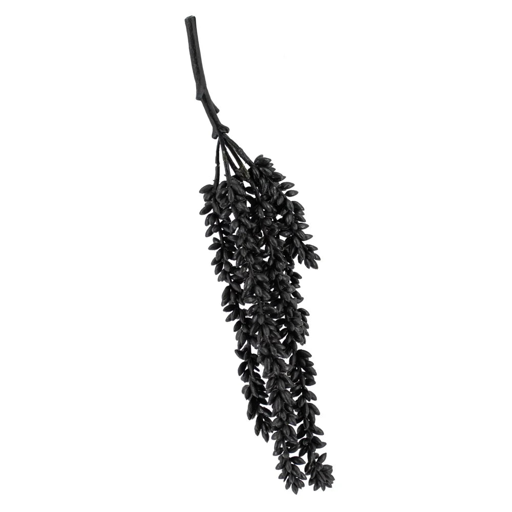 Zwart Kunst Erwtenplantje – Kolony 33 cm