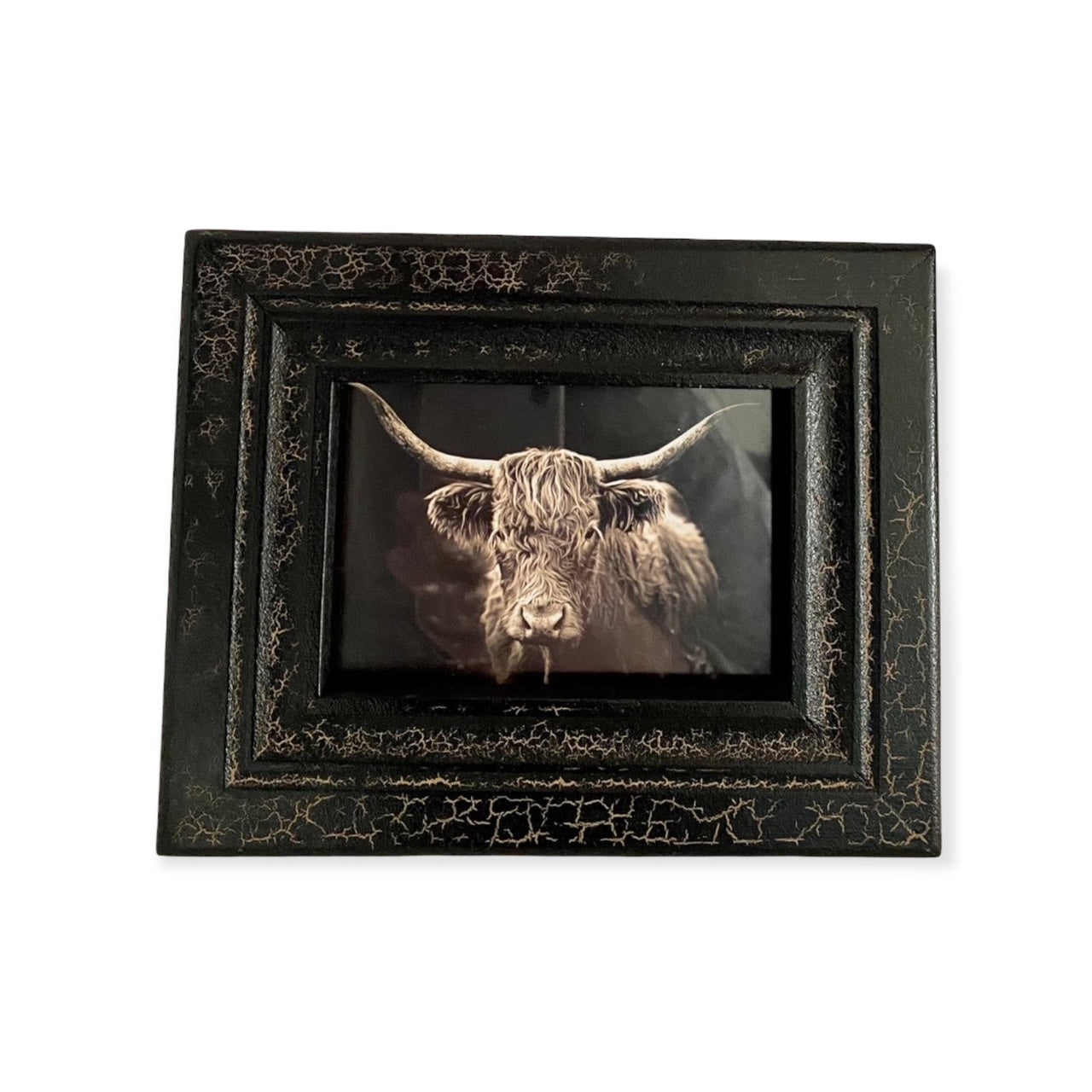 Fotolijst craquelé met Schotse Hooglander – vintage ontwerp in zwart –16x20cm