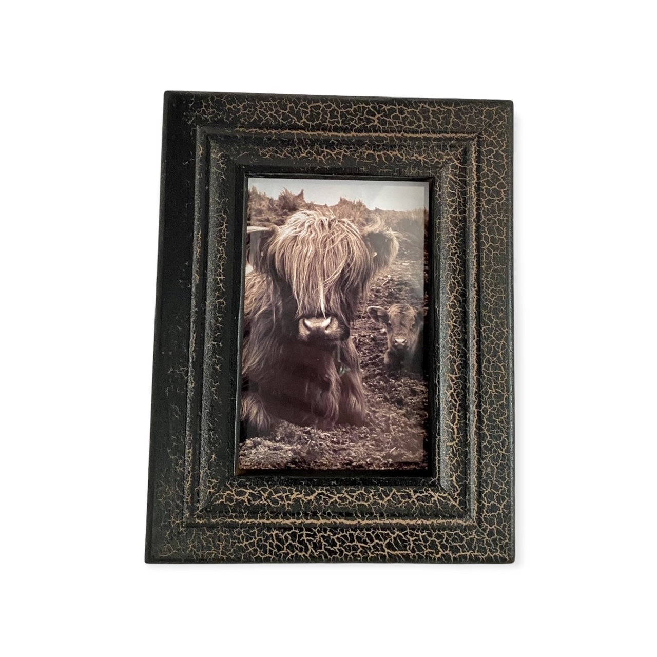 Fotolijst craquelé met Schotse Hooglander – vintage ontwerp in zwart – medium-22x17cm