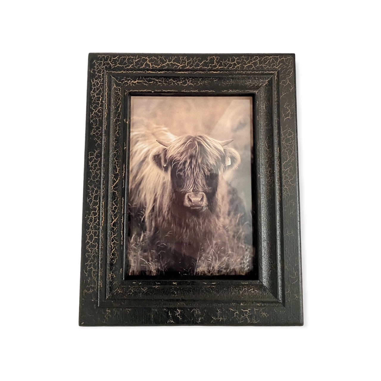 Fotolijst craquelé met Schotse Hooglander – vintage ontwerp in zwart – large-25x20cm