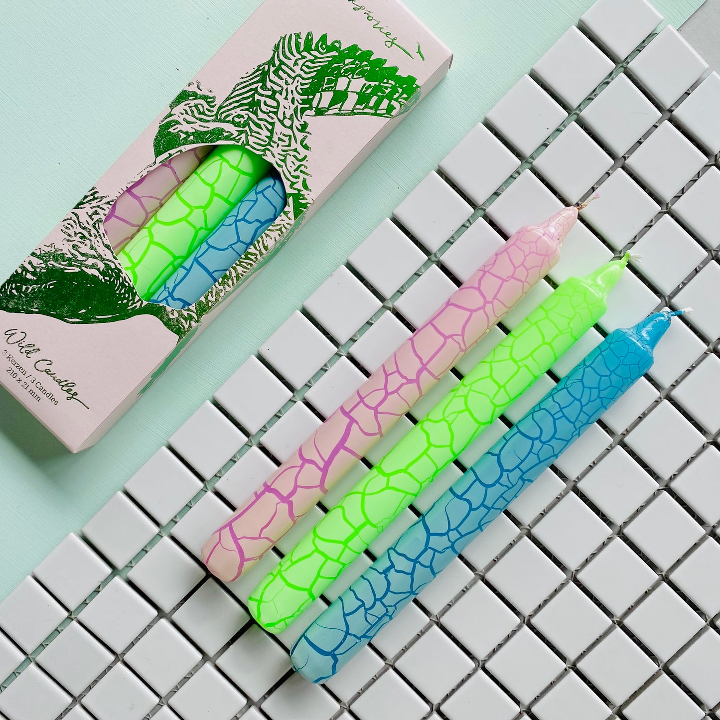 Set of 3 Crocodile Candles – Handmade Dip Dye Design