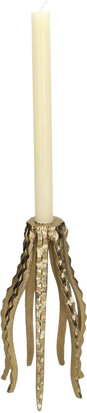Candlestick Octopus Gold – 7 Tentacles
