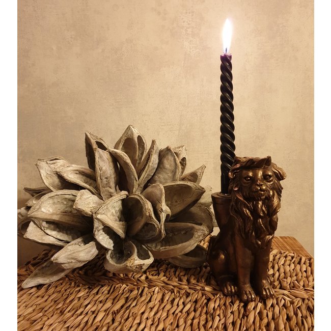 Bronzen Leeuw Kandelaar – Dierenkaarsenhouder 15 cm