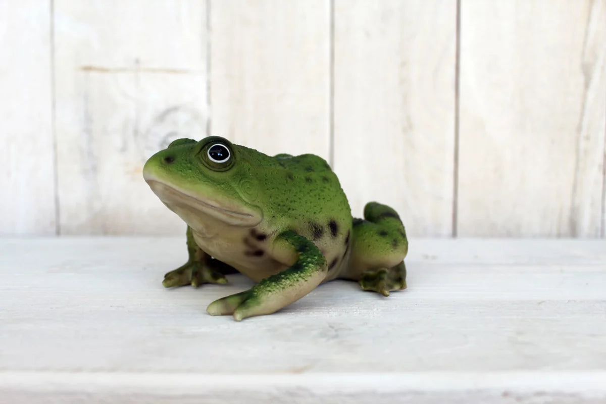 Lebensechte Froschstatue Grün – Für Drinnen & Draußen