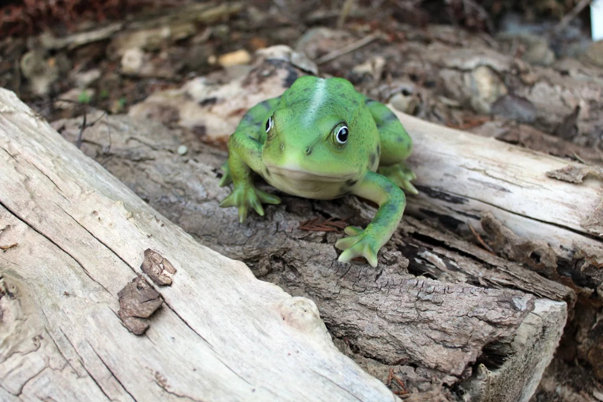 Lebensechte Froschstatue Grün – Für Drinnen & Draußen