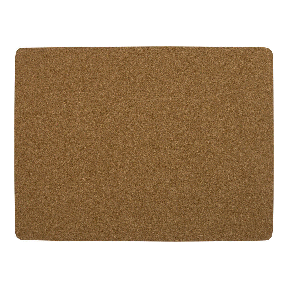 Zebra Placemats – Stylish Set of 4
