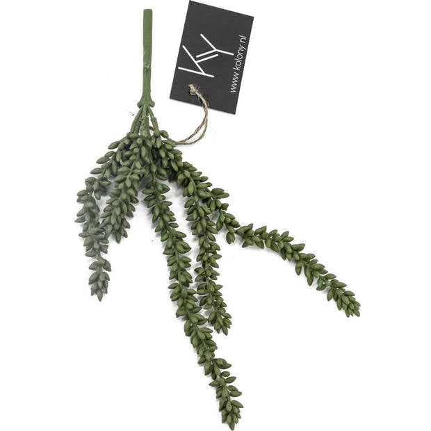 Kunstplant Erwtenplantje Groen – Klein & XL Kolony