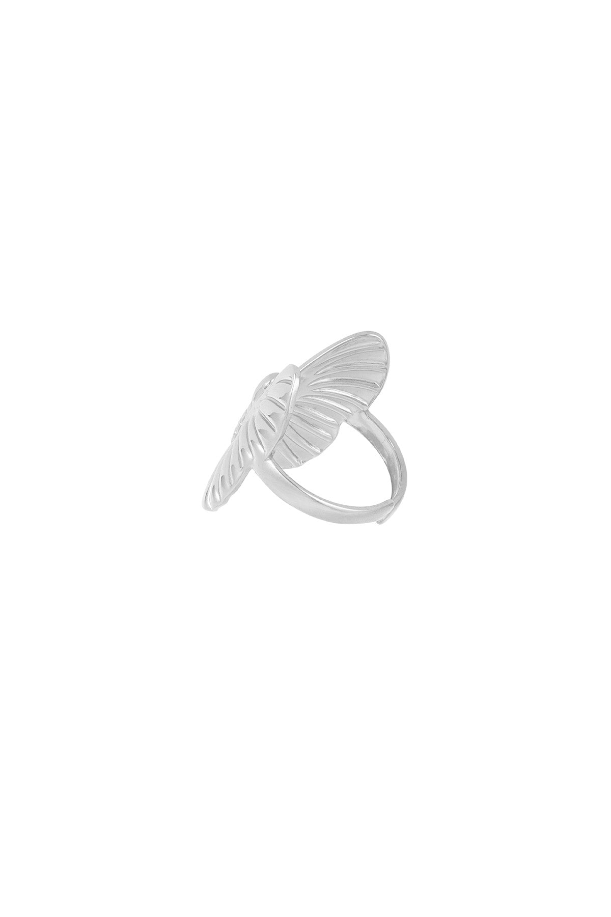 Silver Butterfly Ring – Stainless Steel | Adjustable