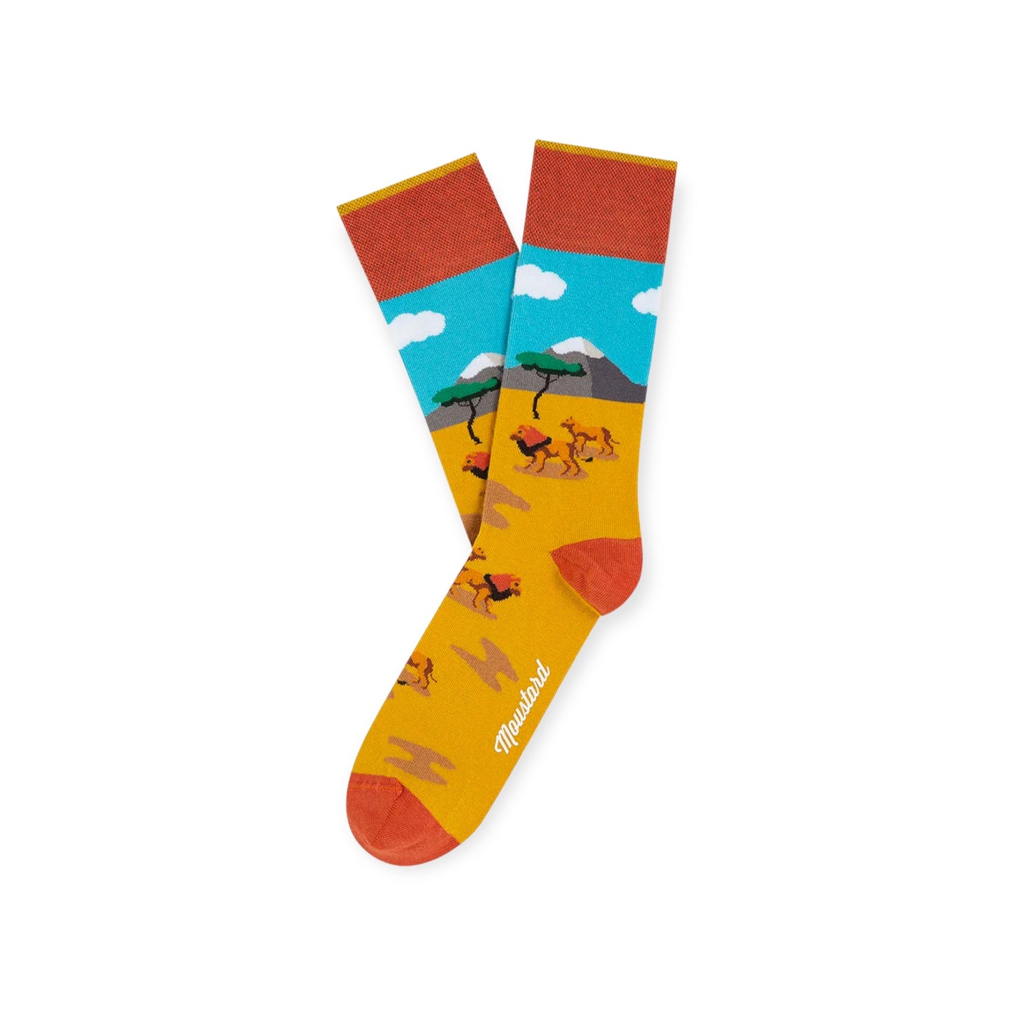 Wild Box Tiersocken – 4 Paar Unisex in Geschenkbox | 2 Größenbereiche