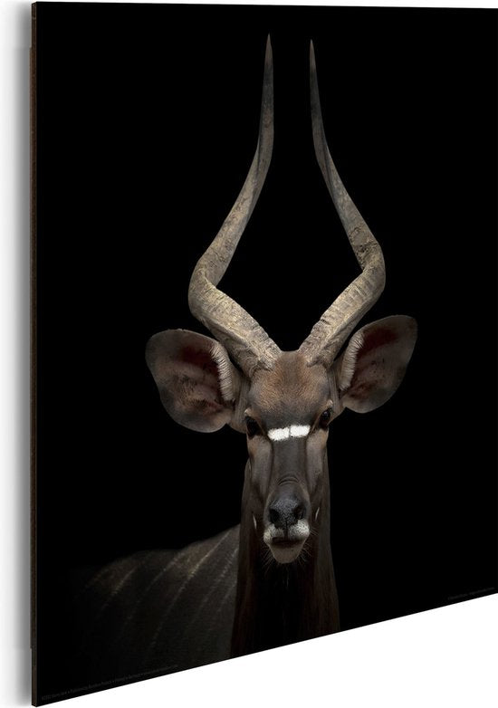 Wanddekorationsposter Antilope – MDF 30×30 cm