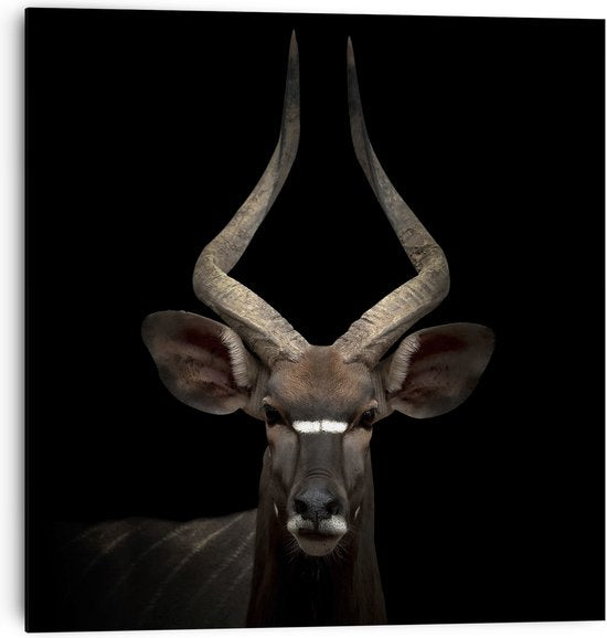 wanddecoratie poster antilope mdf 30x30 cm