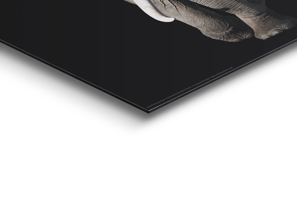 Wanddekoration Poster Elefant – MDF – 30x30 cm