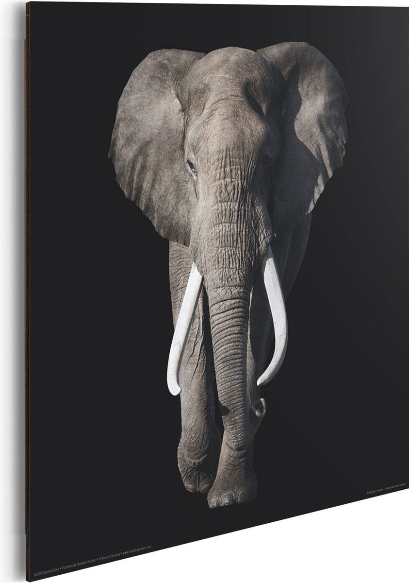 Wanddekoration Poster Elefant – MDF – 30x30 cm