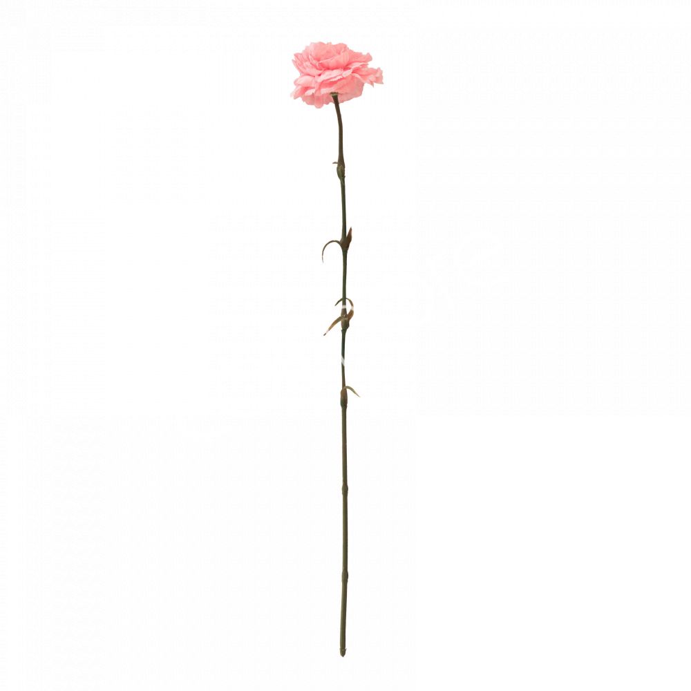 Zijdenbloem Roze Anjer – Kunstbloem 60 cm
