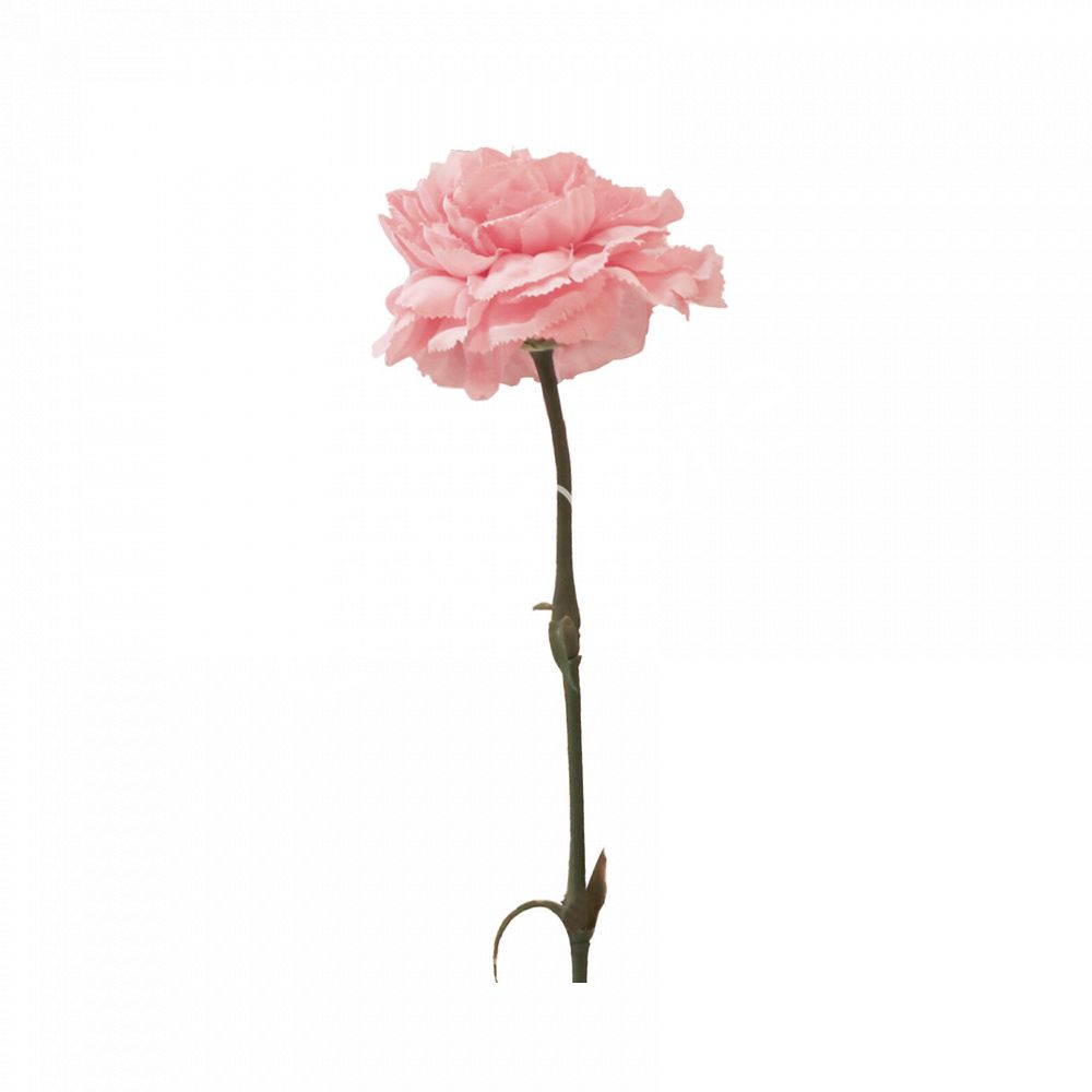 Roze zijden anjer Colmore – kunstbloem 60 cm realistisch en elegant