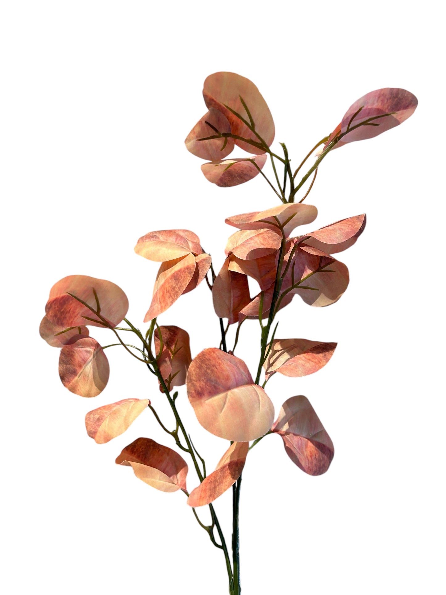 Kunstbloem eucalyptus zalm 65 cm – Krokomingo