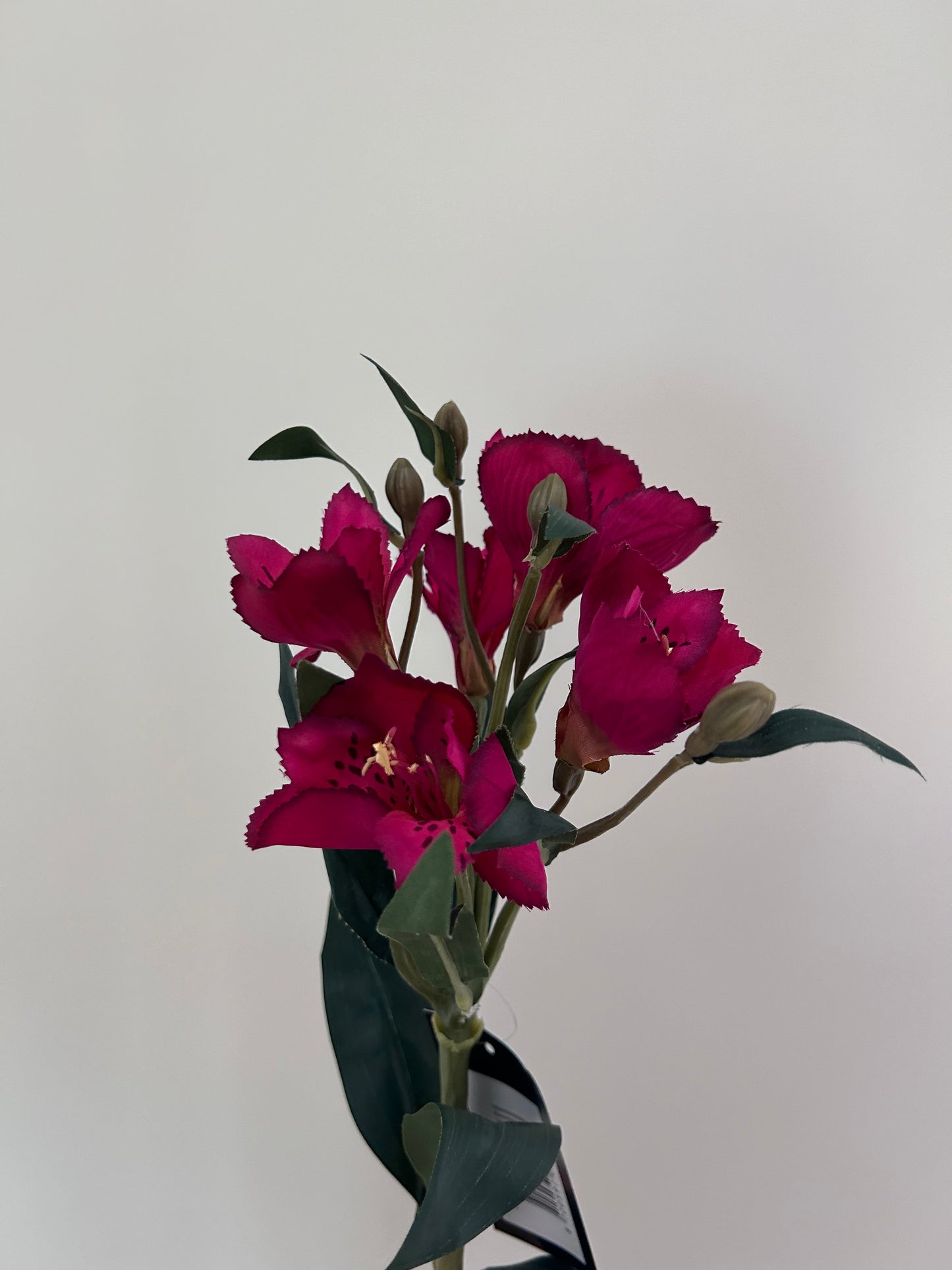 Zijdenbloem Lelie Roze/Rood – 61 cm
