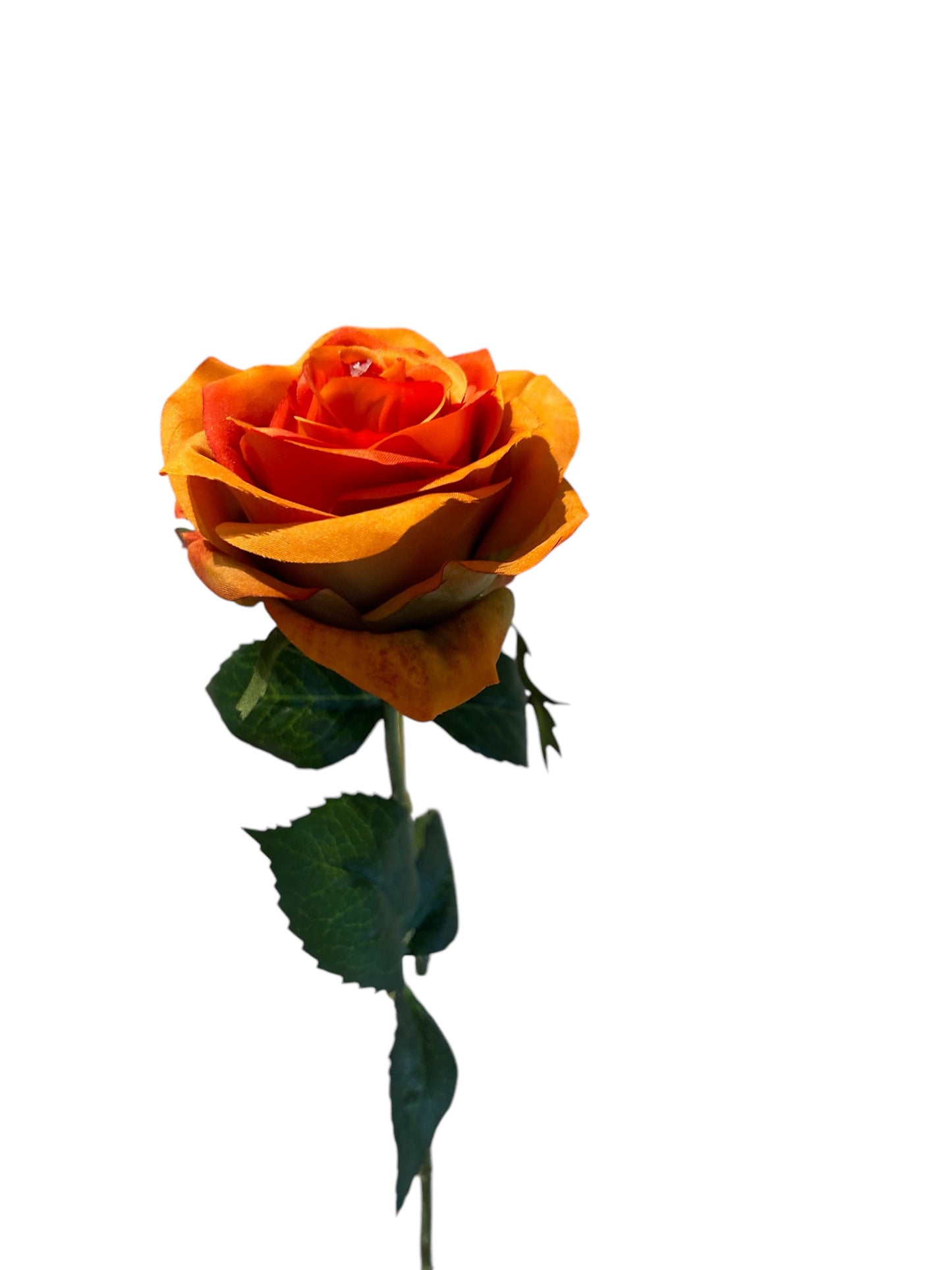 Zijdenbloem roos oranje 55 cm – Krokomingo