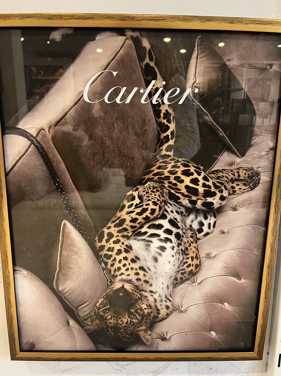 Luipaard Foto op Bank – Wanddecoratie met Gouden Lijst | 52x42 cm