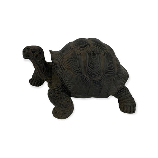 realistisch dierenbeeld van een zwart schildpad