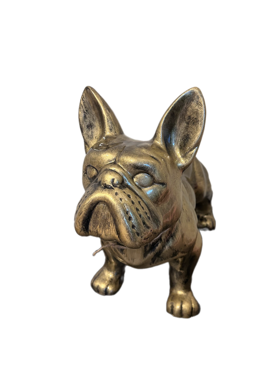 Indrukwekkend Bulldog Beeld XL – Goud & Brons