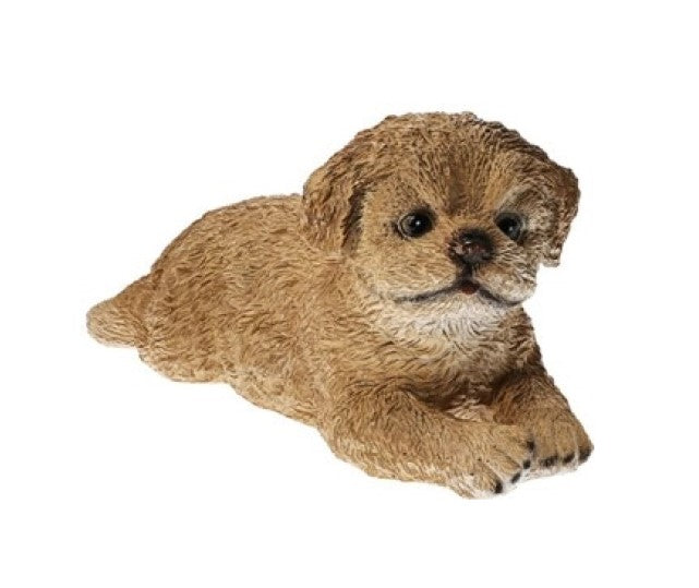 levensecht beeldje van een labradoodle pup