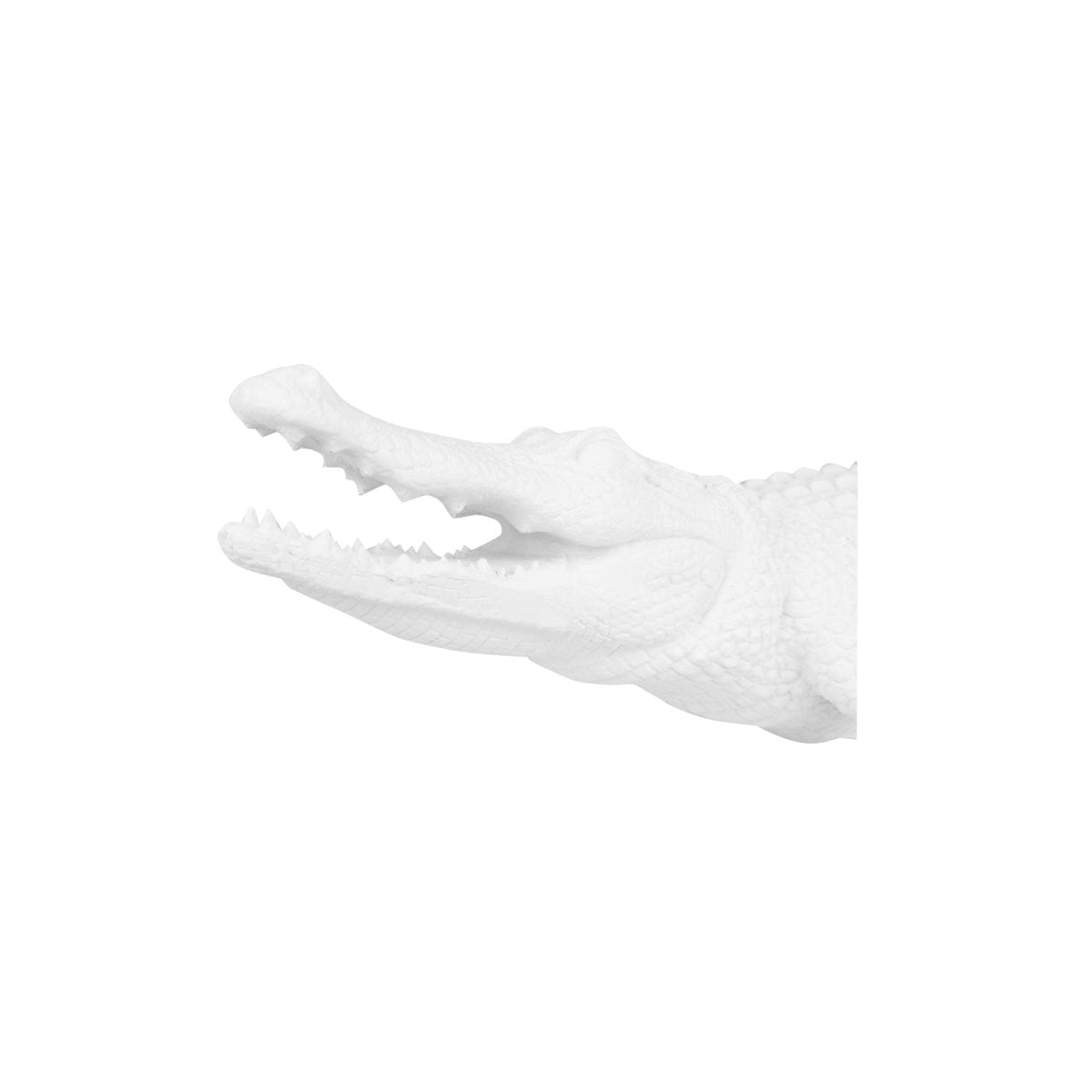 Witte Krokodil Beeld