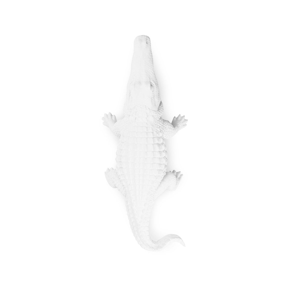 Witte Krokodil Beeld