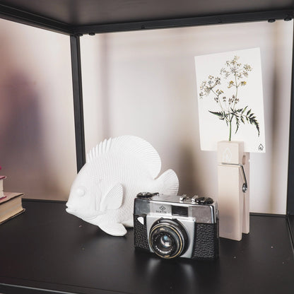Witte vis decoratie in mat polyresin van Housevitamin – modern en minimalistisch beeldje