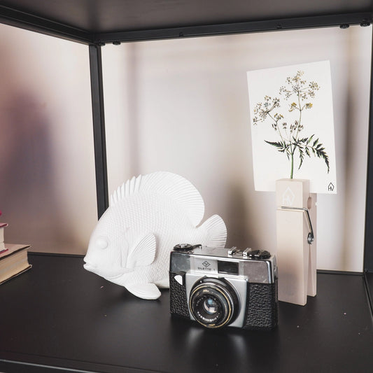 Witte vis decoratie in mat polyresin van Housevitamin – modern en minimalistisch beeldje