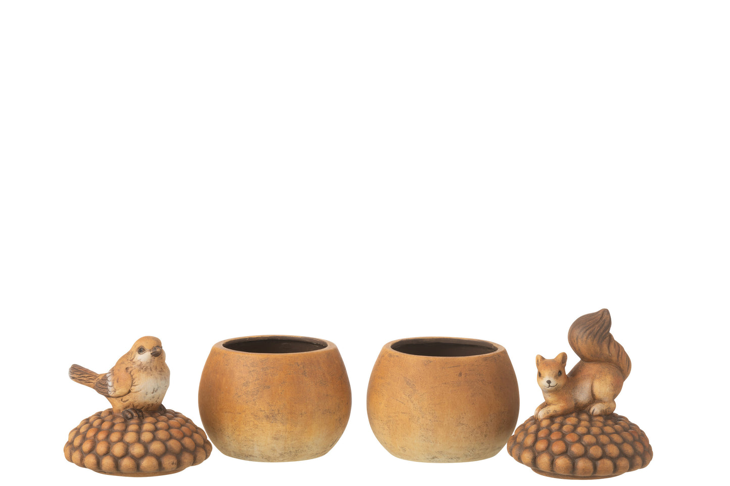 Herfstbeeld Eekhoorn of Vogel met Eikel - 2 formaten