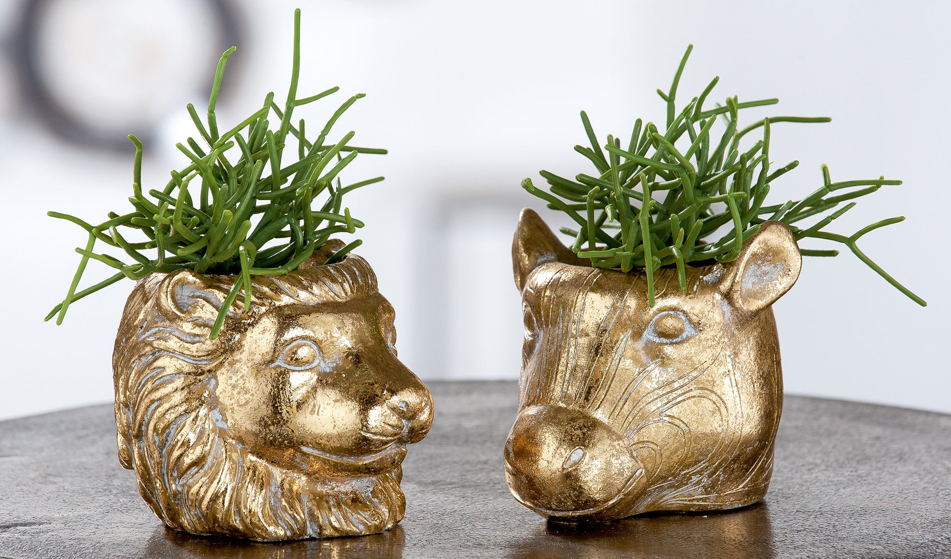 Safari zebra bloempot van cement met antiek gouden afwerking – luxe dieren woondecoratie

