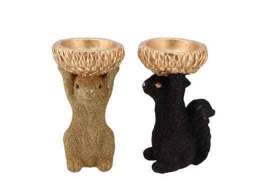 Eekhoorn beeld met gouden schaaltje – luxe woondecoratie, Krokomingo