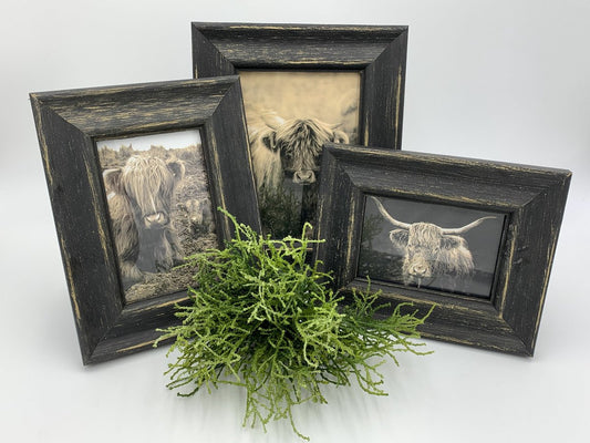 Antieke zwarte fotolijst met Schotse Hooglander achtergrond – Vintage & More
