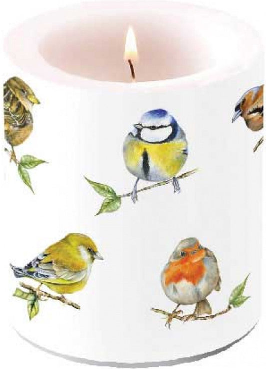 Decoratieve kaars met vogels – roodborstje, vink, koolmees – 10x10 cm – Ambiente